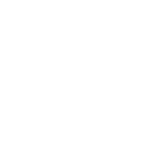 D4L Logo White